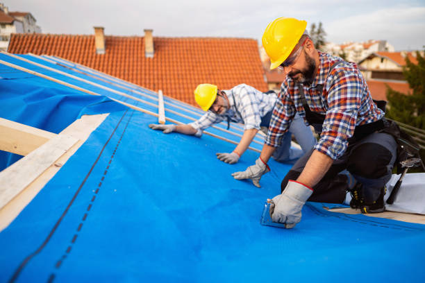 Best Gutter Installation and Repair  in Mcqueeney, TX