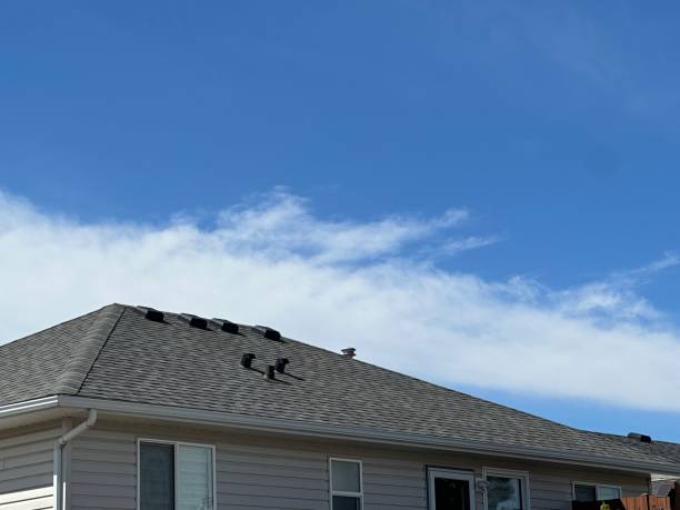 Best Roof Maintenance and Cleaning  in Mcqueeney, TX